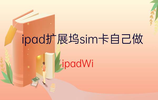 ipad扩展坞sim卡自己做 ipadWi